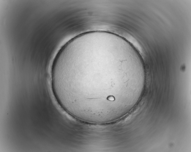 X0000102411088200808152000