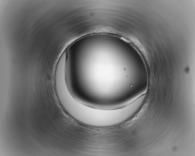 X0000102411089200808152000