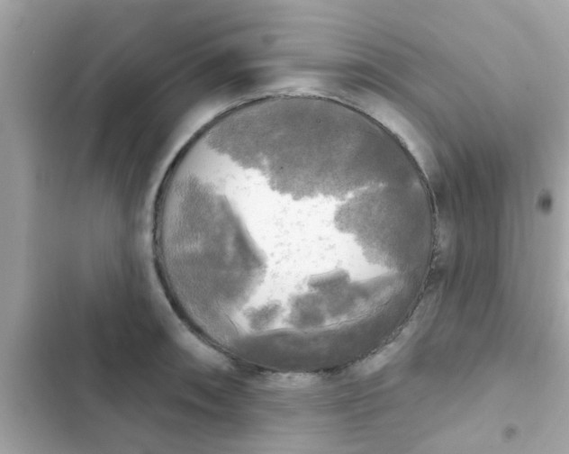 X0000102411090200808152000