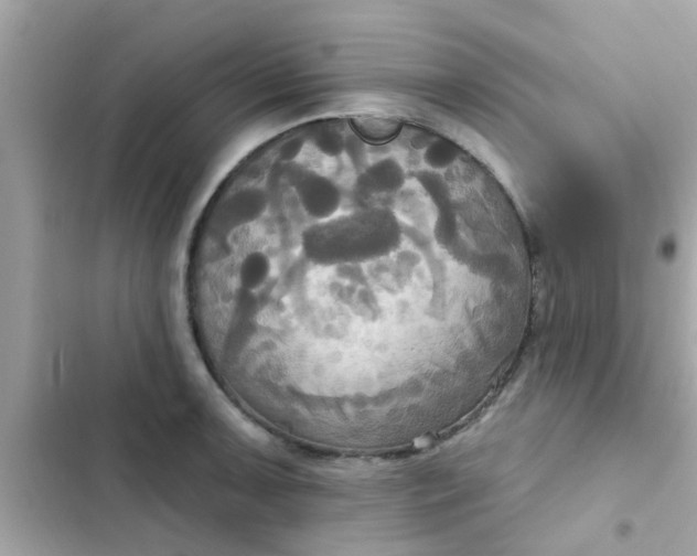 X0000102411091200808152000