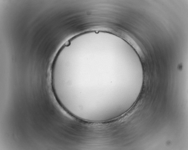 X0000102411092200808152000