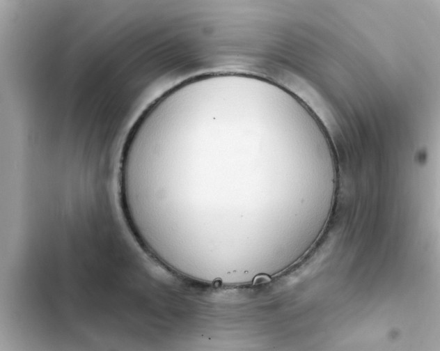 X0000102411093200808152000