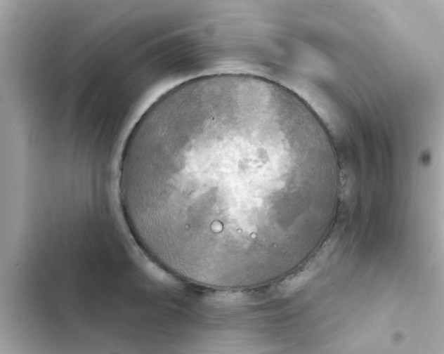 X0000102411094200808152000