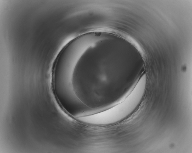 X0000102411095200808152000