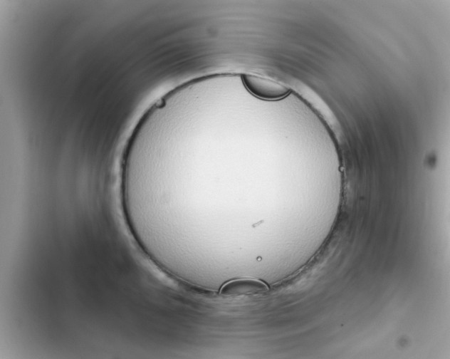 X0000102411096200808152000