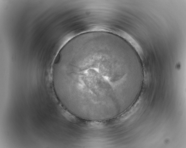 X0000102411097200808152000