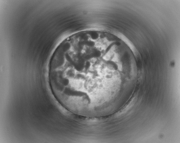 X0000102411099200808152000