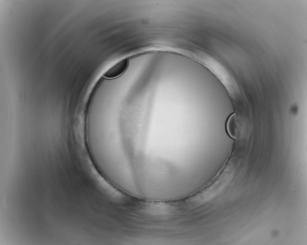 X0000102411100200808152000