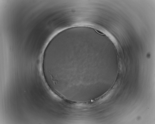 X0000102411102200808152000