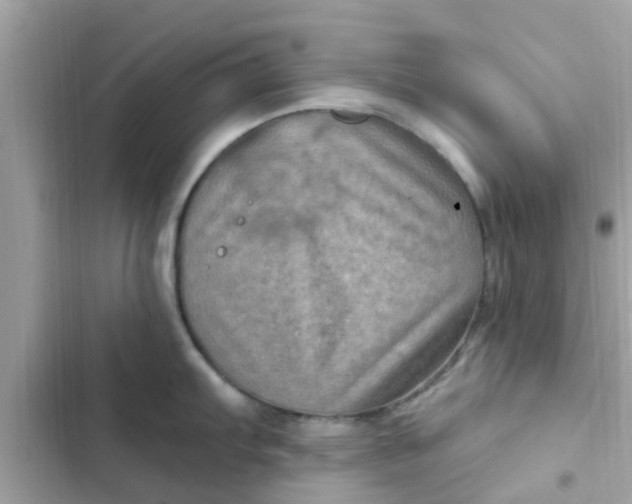 X0000102411103200808152000