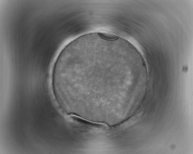 X0000102411104200808152000