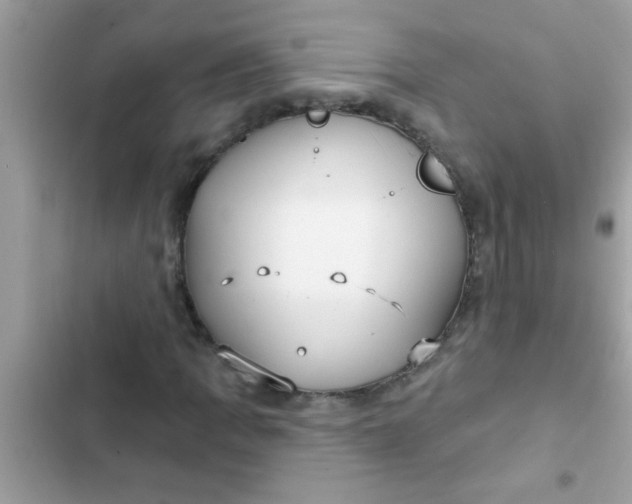 X0000102411109200808151959