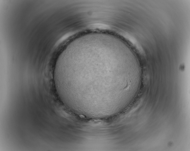 X0000102411112200808151959