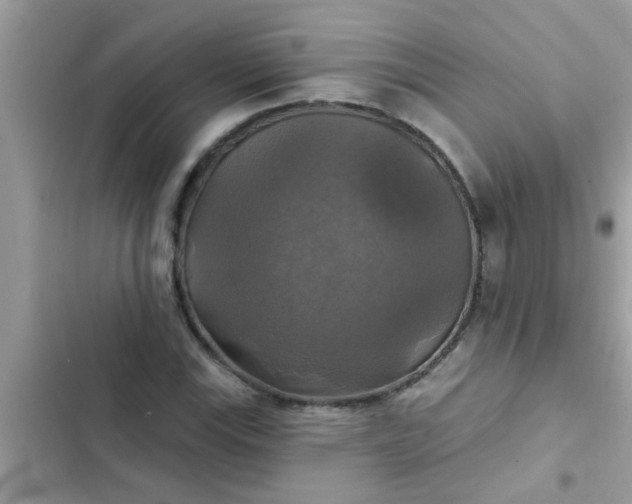 X0000102411115200808151959