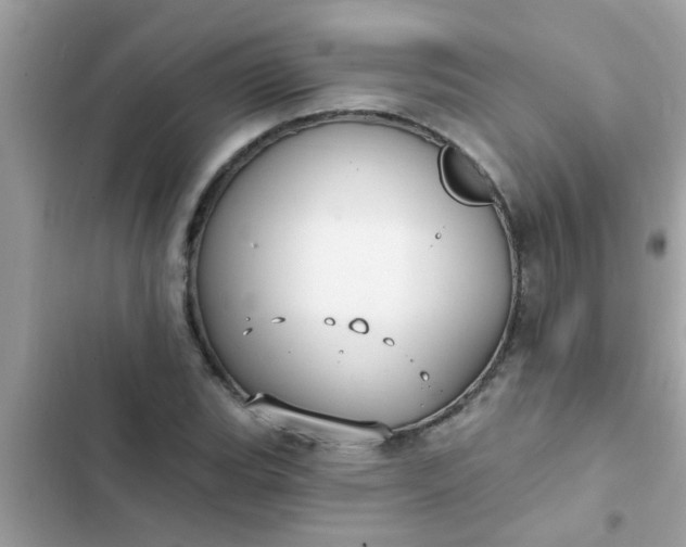 X0000102411119200808151959