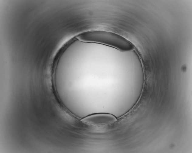 X0000102411120200808151959