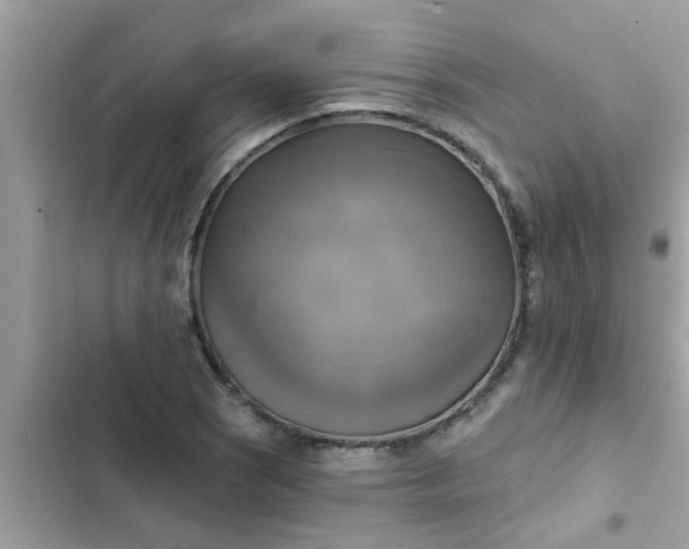 X0000102411121200808151959