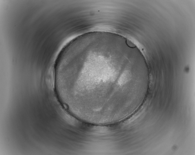 X0000102411123200808151959