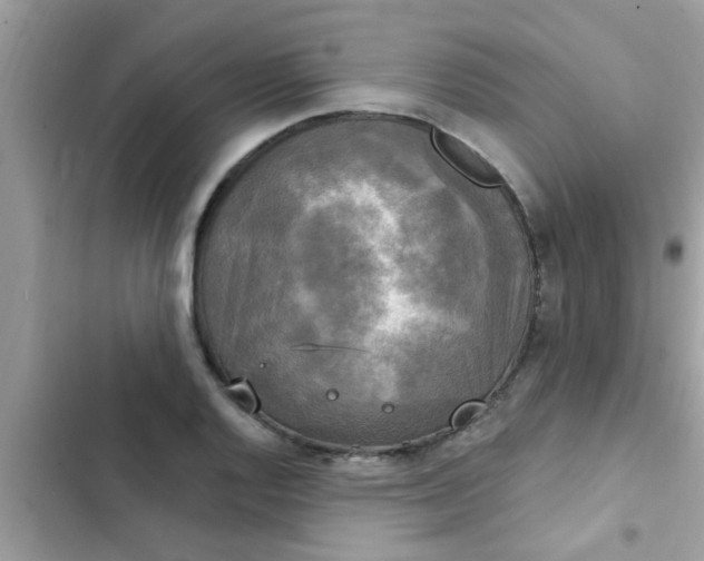 X0000102411128200808151959