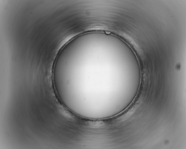 X0000102411129200808151959