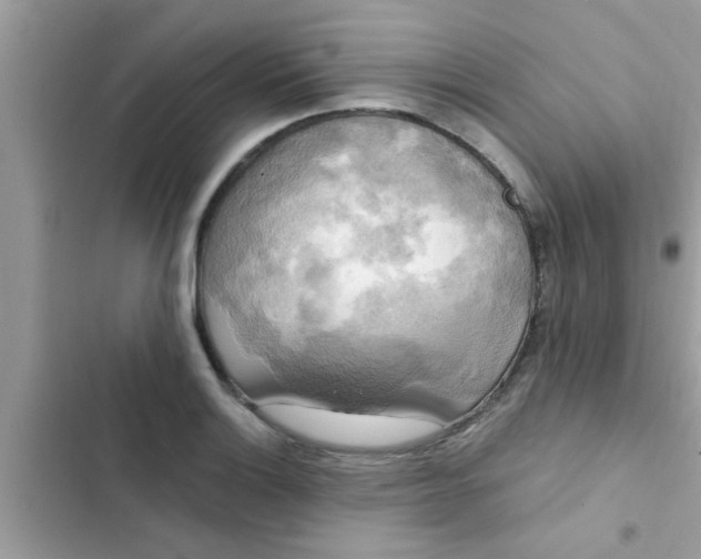 X0000102411132200808151959