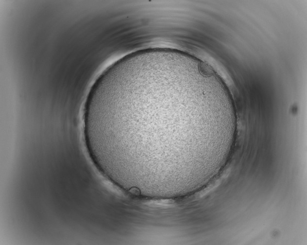 X0000102411133200808151959