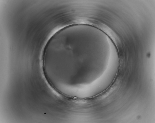 X0000102411141200808151959