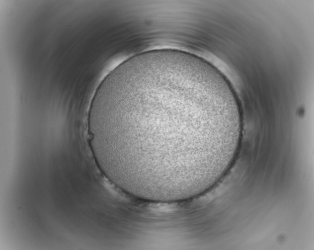 X0000102411145200808151959