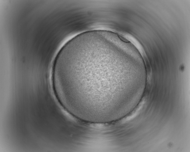 X0000102411149200808152000