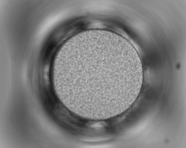 X0000102411150200808152000