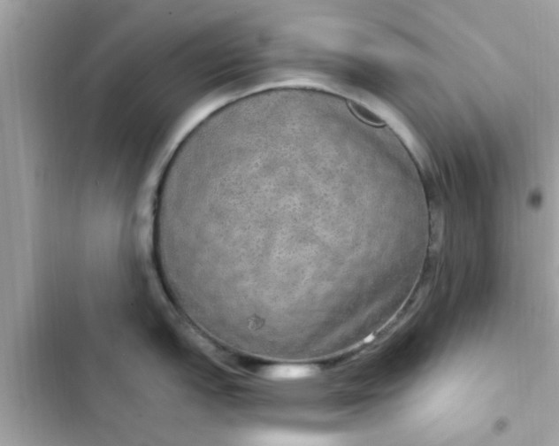 X0000102411151200808152000