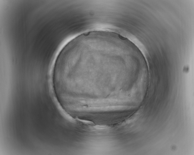 X0000102411152200808152000