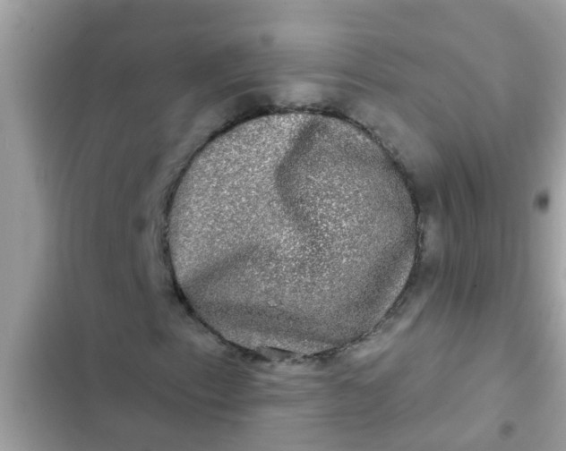 X0000102411153200808151959