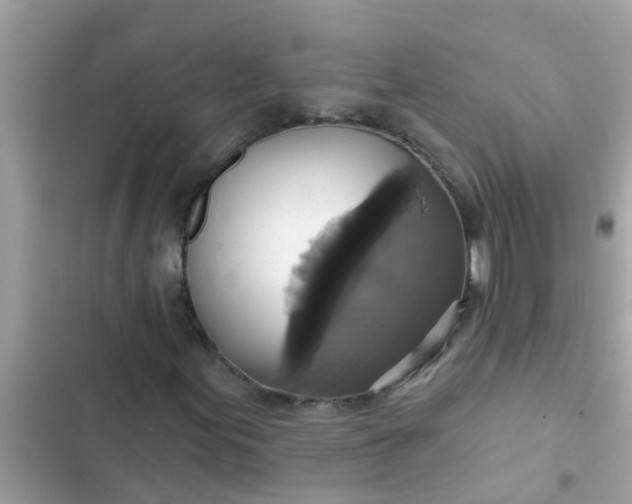 X0000102411155200808151959