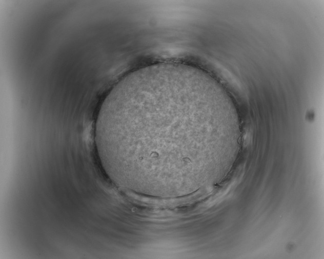 X0000102411156200808151959