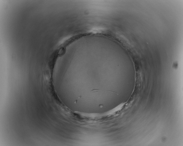 X0000102411158200808151959