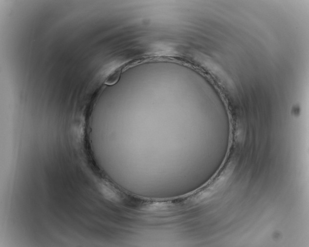 X0000102411161200808151959