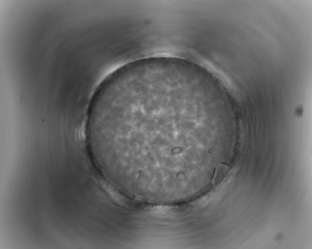 X0000102411166200808151959