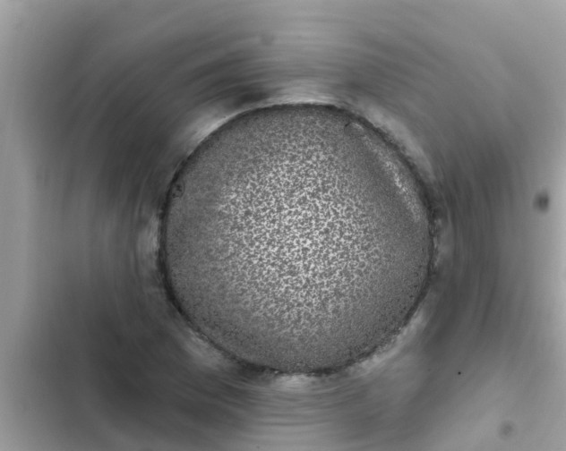 X0000102411169200808151958