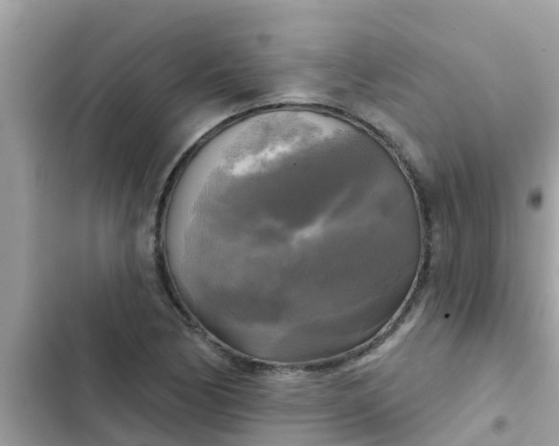 X0000102411170200808151958