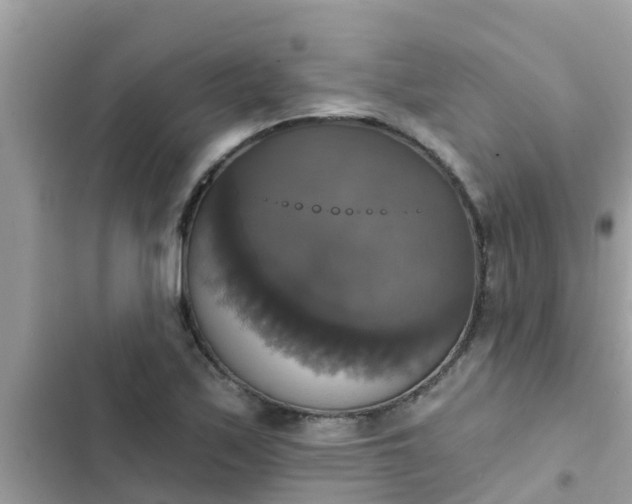 X0000102411171200808151958