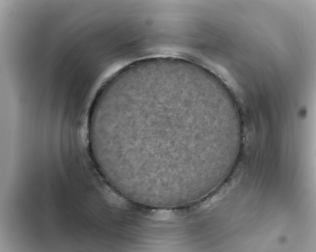 X0000102411172200808151958