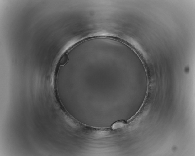 X0000102411173200808151958