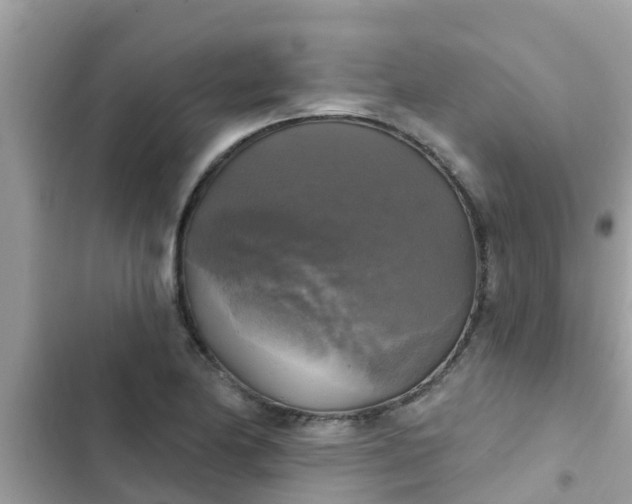 X0000102411174200808151958