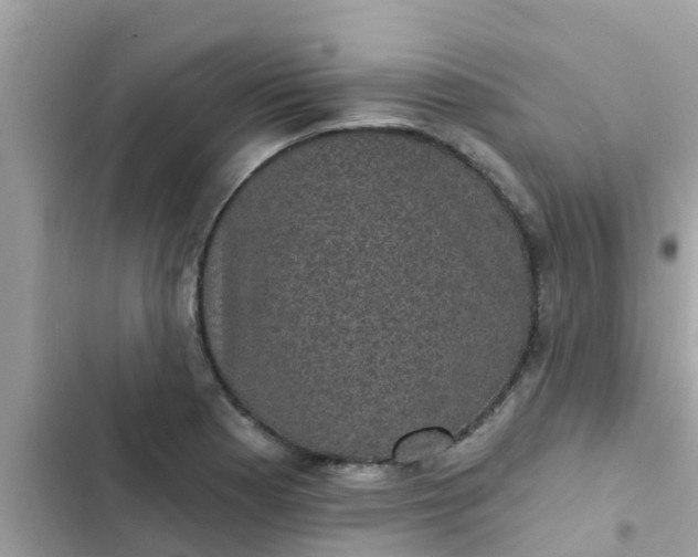 X0000102411177200808151958