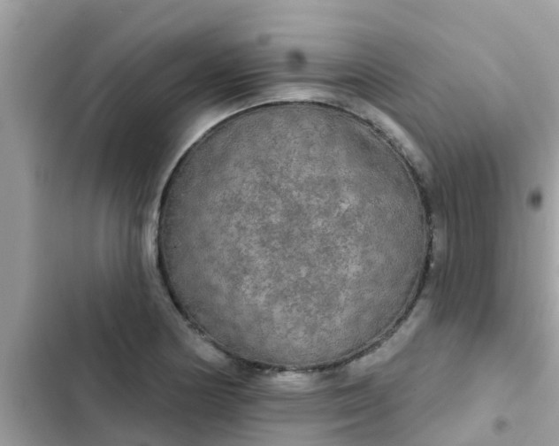 X0000102411178200808151958