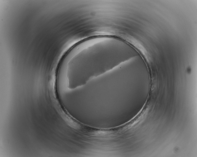 X0000102411179200808151958