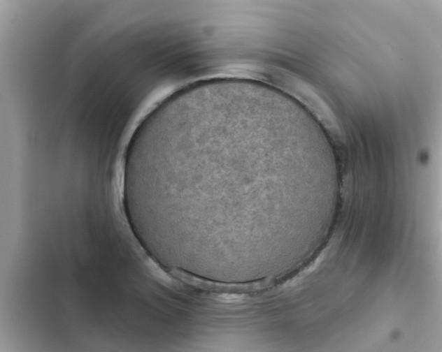 X0000102411180200808151958