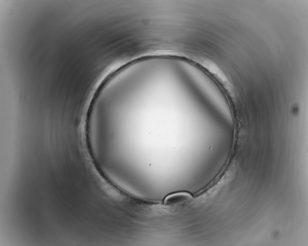 X0000102411181200808151958