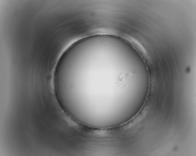 X0000102411182200808151958